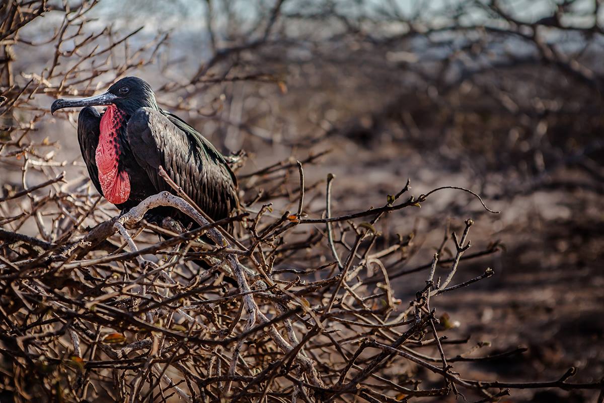 10373093_523695801090092_1490171713202699691_o