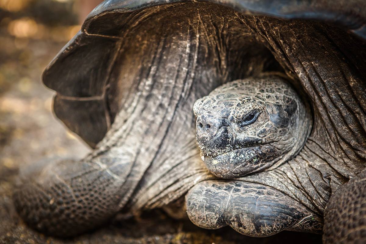 10380488_523704257755913_5733369226016913372_o