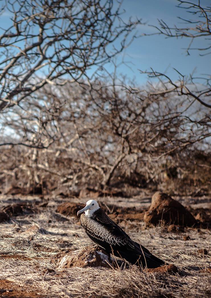 10448585_523692994423706_2576310043016402520_o