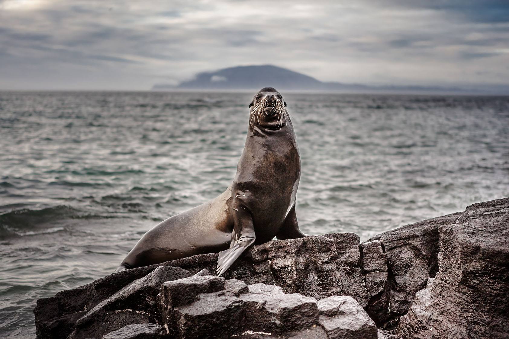 10450307_523675984425407_654210853626391225_o