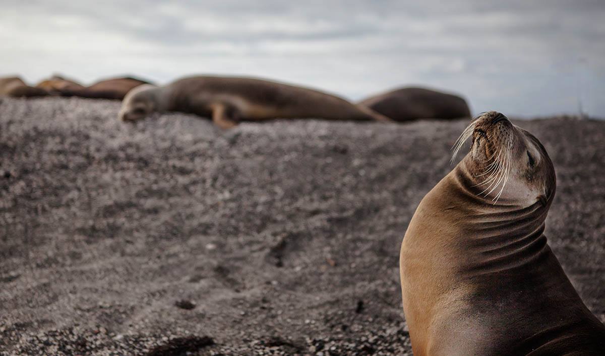 10498042_523700334422972_6866136093070478199_o