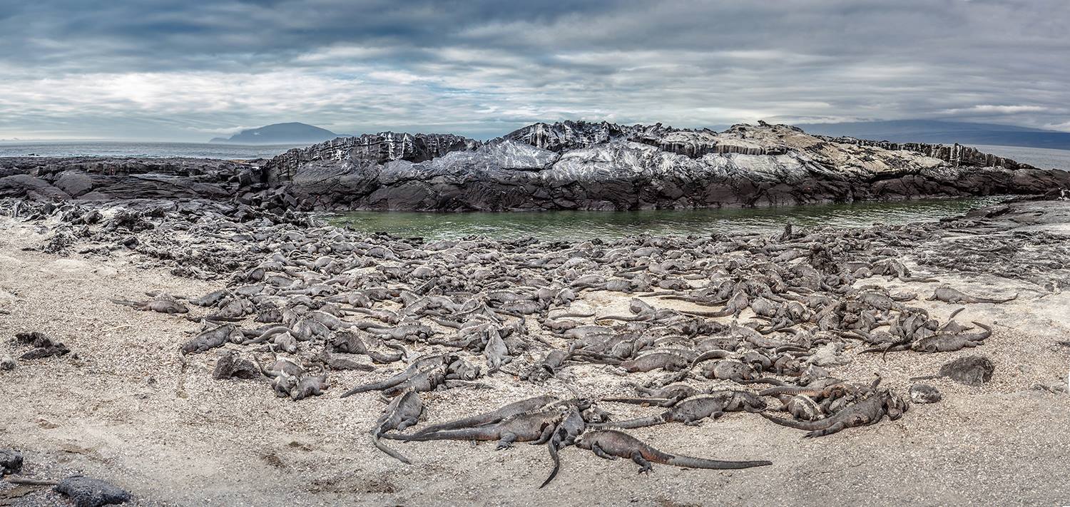 10499384_523676314425374_3141184576938707010_o