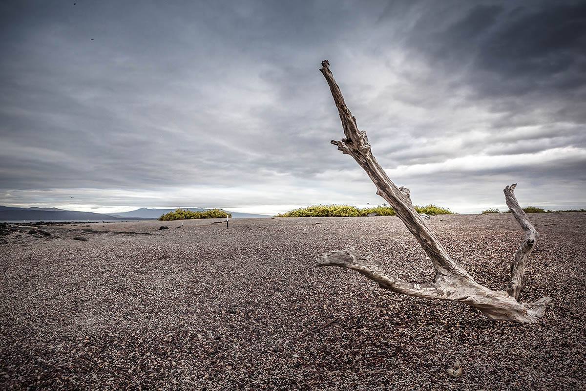 10550144_523701337756205_3690734054192379085_o